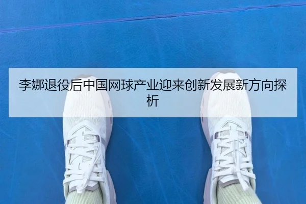 li-na-tui-yi-hou-zhong-guo-wang-qiu-chan-ye-ying-lai-chuang-xin-fa-zhan-xin-fang-xiang-tan-xi-2-328.jpg