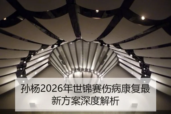 孙杨2026年世锦赛伤病康复最新方案深度解析